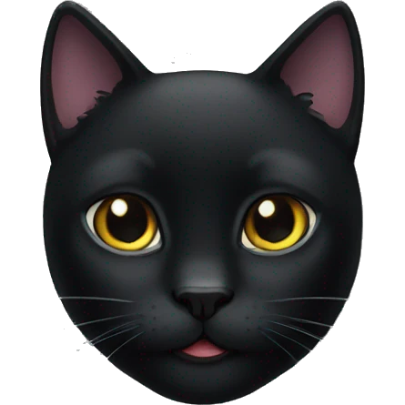 a black cat emoji