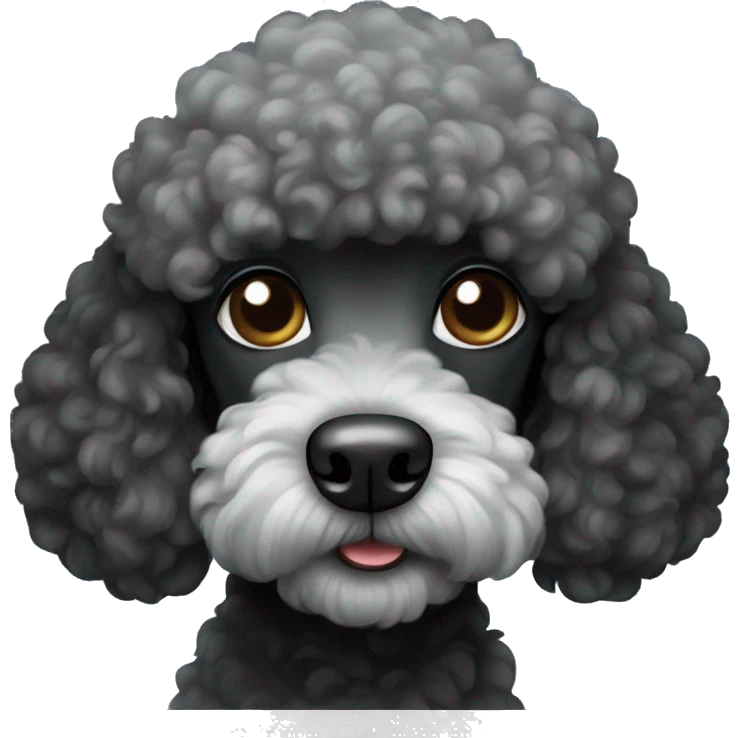 Black poodle  emoji