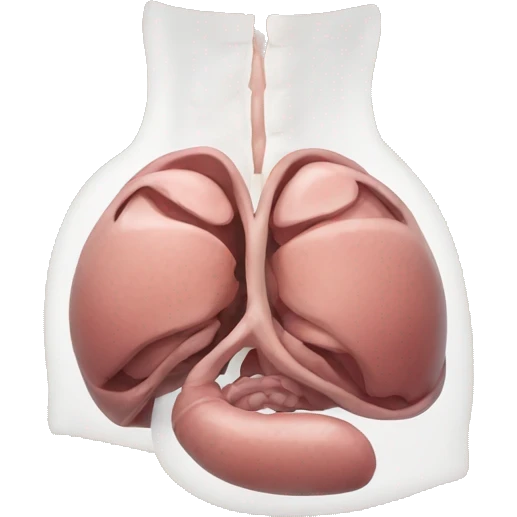 stomach anatomy emoji