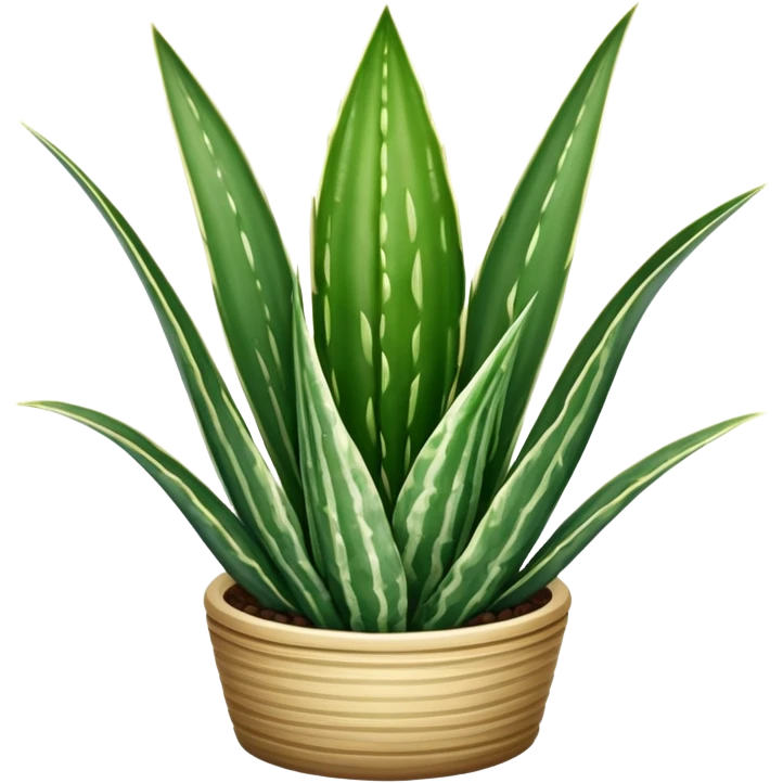 Sansevieria trifasciata emoji