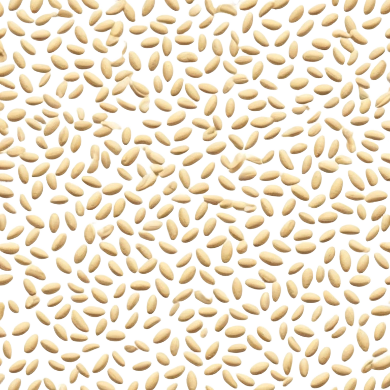 sesame seeds sprinkled on a surface emoji