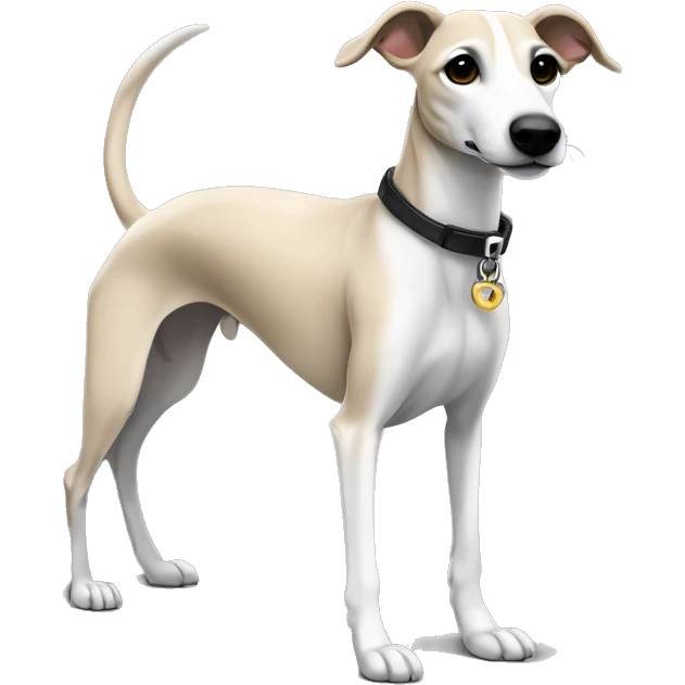 a beige whippet full body with stripes his left foot white color up up and a leash going out of frame, with a dark snout, black and white mouth patchy and black angel wing like eyes emoji