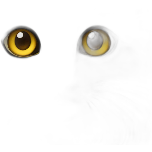 long haired black kitten brown yellow eyes emoji