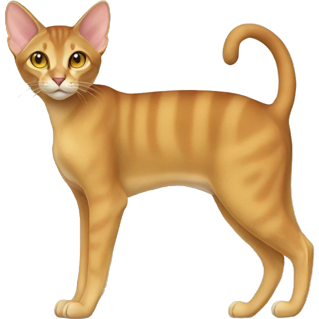 Chausie Cat Full Body emoji
