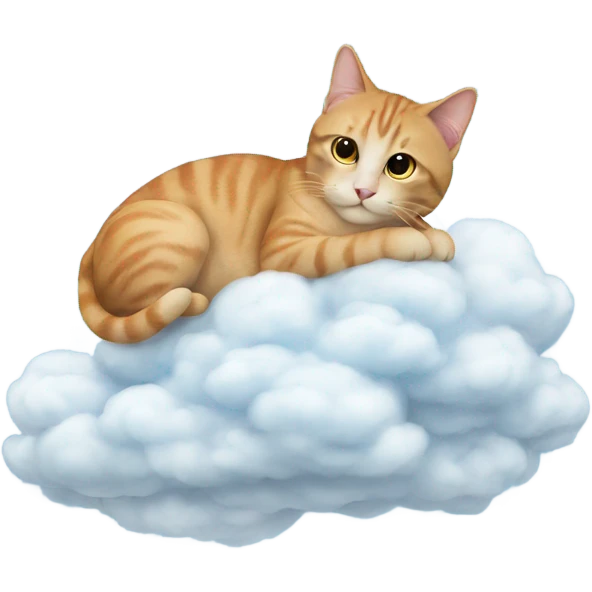 A cat on a cloud emoji
