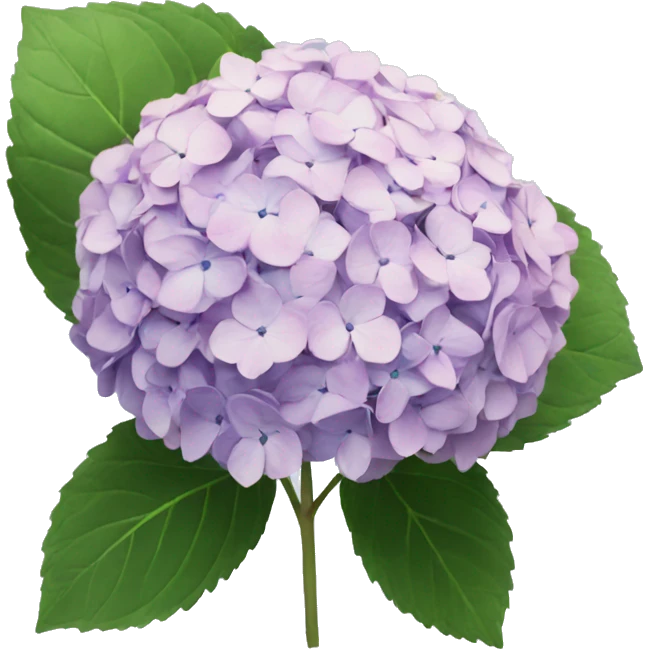 Hydrangea emoji