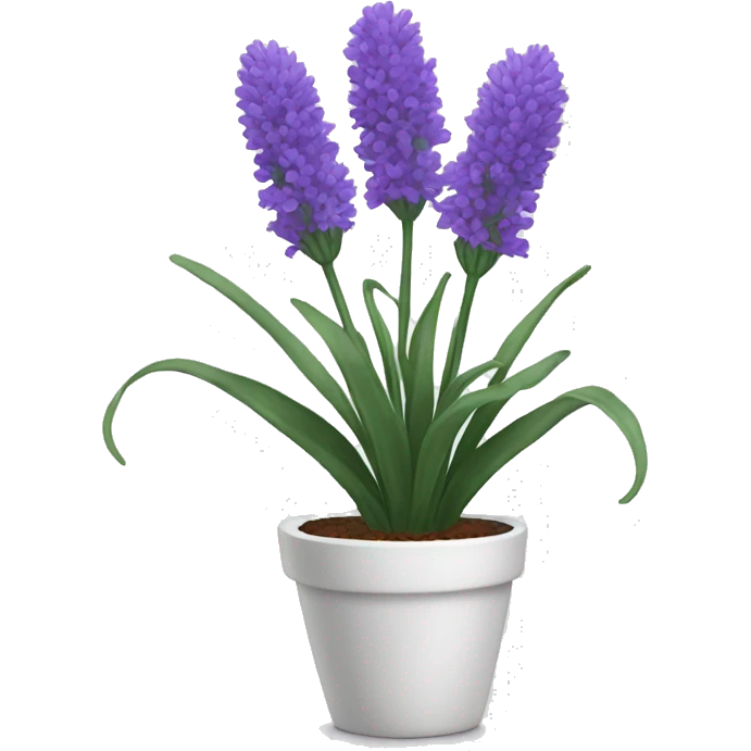 Lavender flower in a white pot  emoji