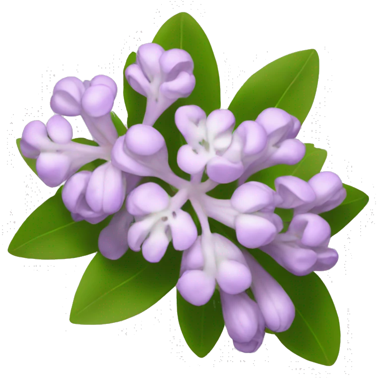 mountain laurel flower emoji