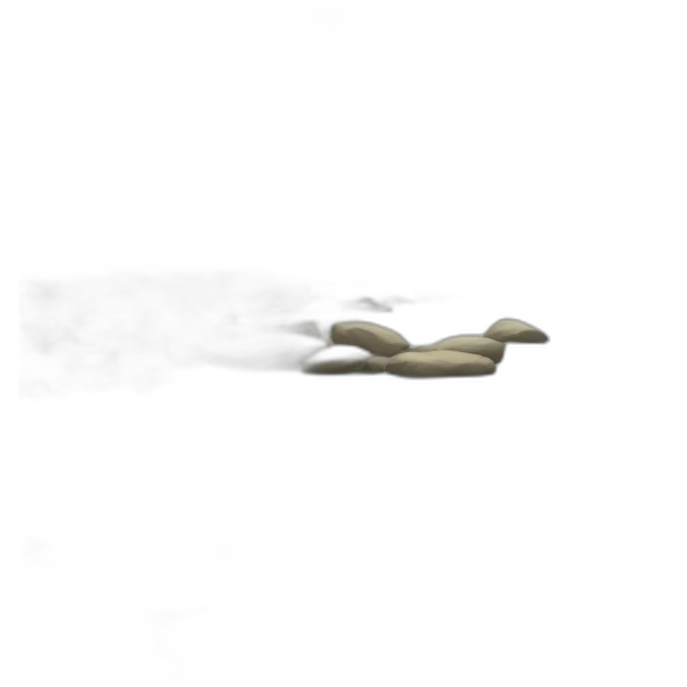 dry riffle in the river emoji