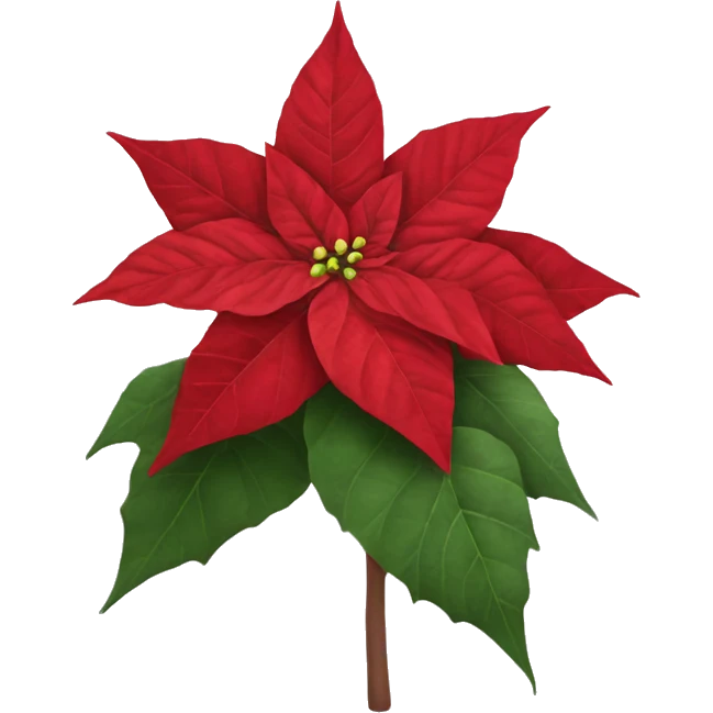 Realistic poinsettia emoji