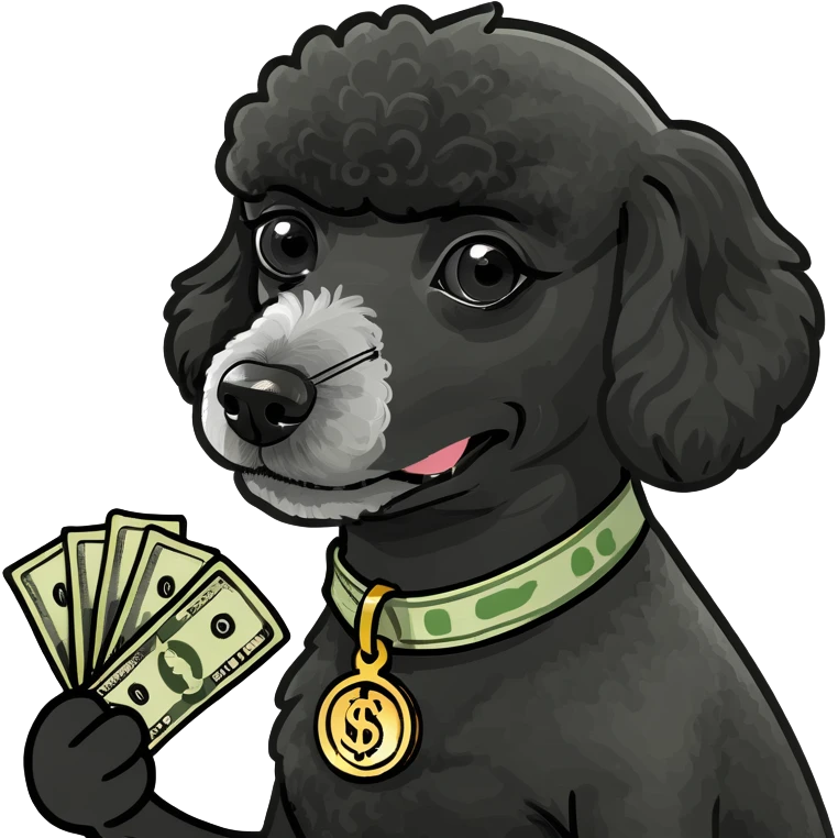 Black mini-poodle with money emoji