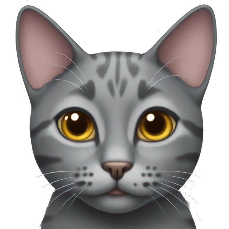 grey cat with heart eyes emoji