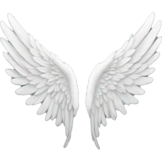 Angel wings  emoji