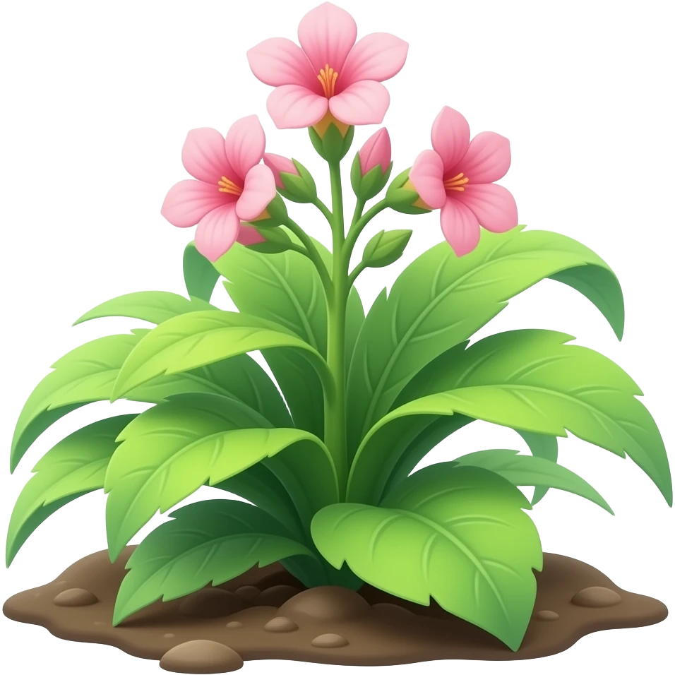 green plant from the ground with leafs And Pink flowers blooming emoji