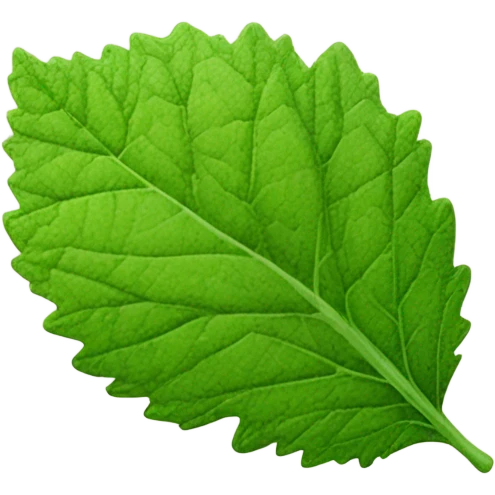 lemon balm emoji