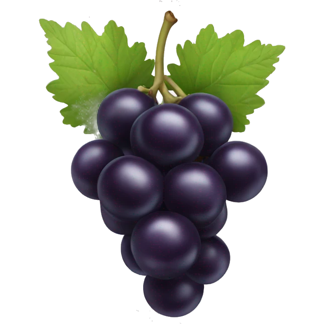 two blackcurrant emoji
