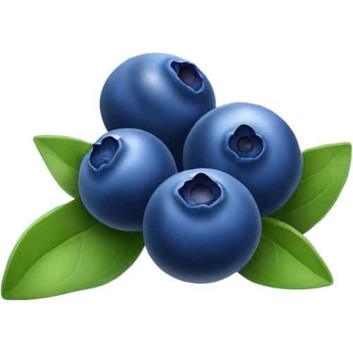 Blueberries WITHOUT LEAVES  emoji