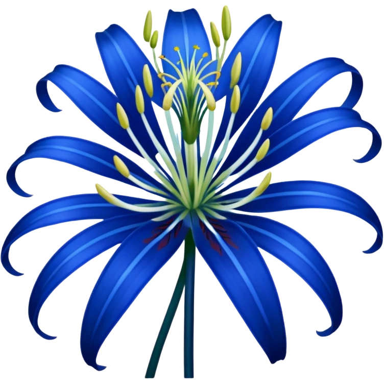 Blue spider lily  emoji