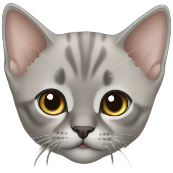 Grey burmese kitten emoji