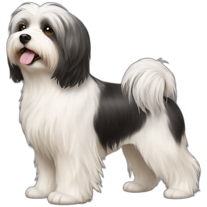 Dog havanese full height emoji