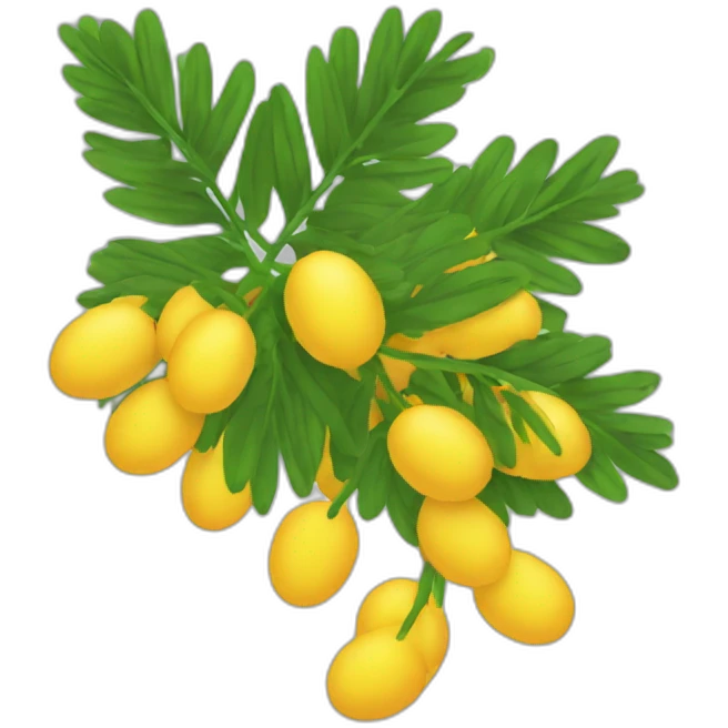mimosa emoji