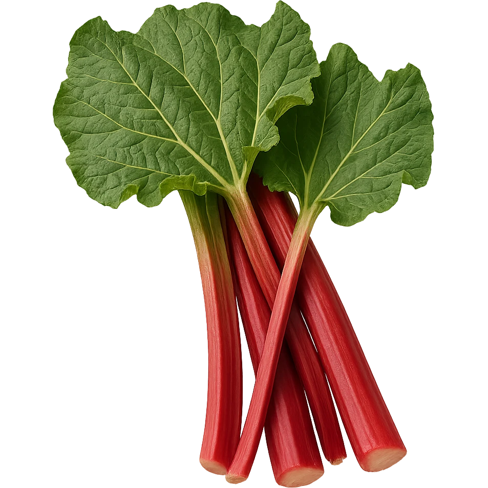 realistic rhubarb stalks with leaves, no background emoji
