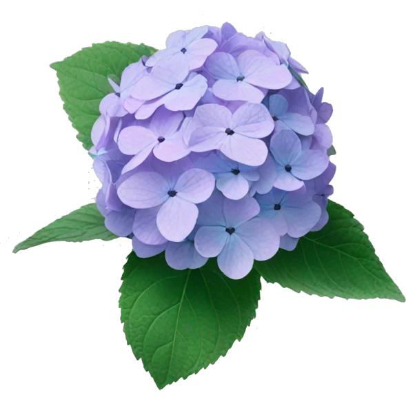 Hydrangea Celeste flower emoji