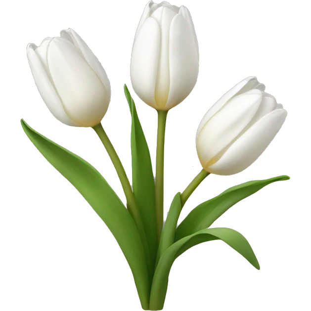 white tulip bouquet  emoji