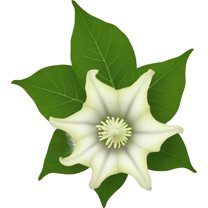 Datura emoji