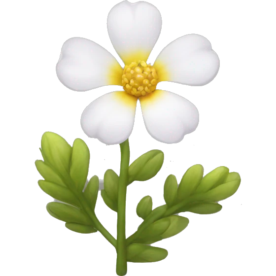 Ursinia flower emoji