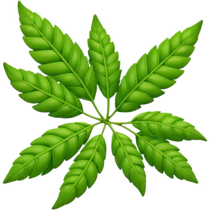 Curry leaves  emoji