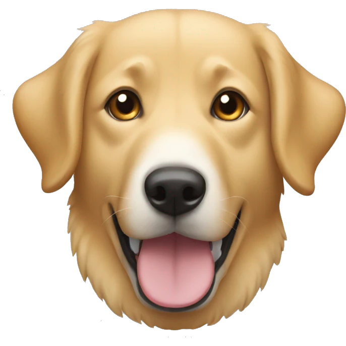 retriever and jindo mix  emoji