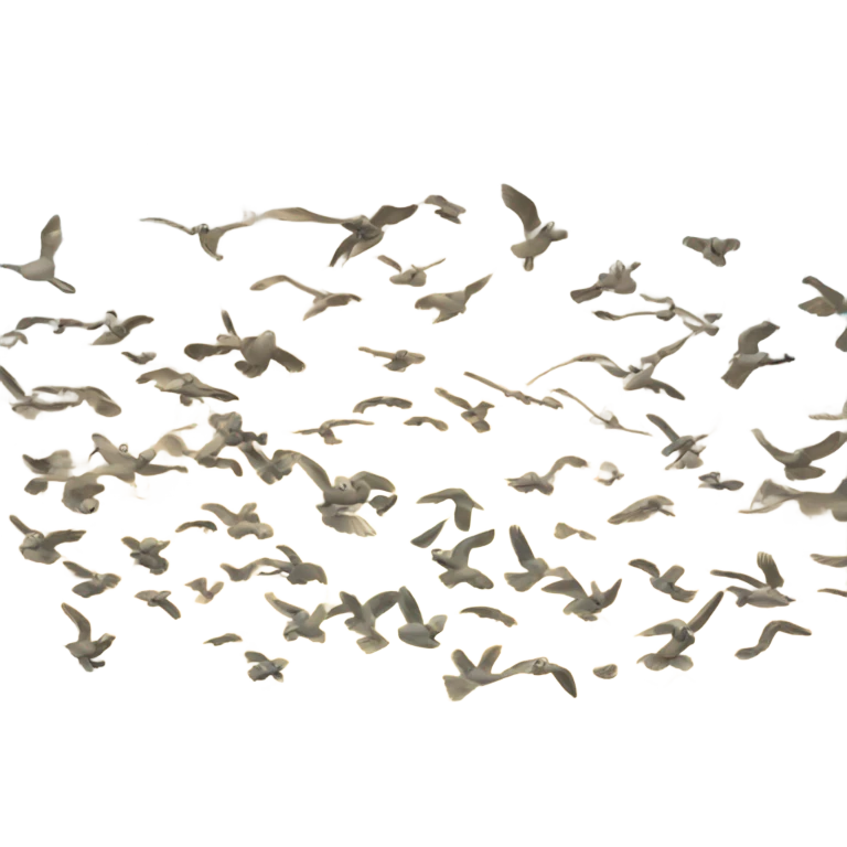 Ocean with birds emoji