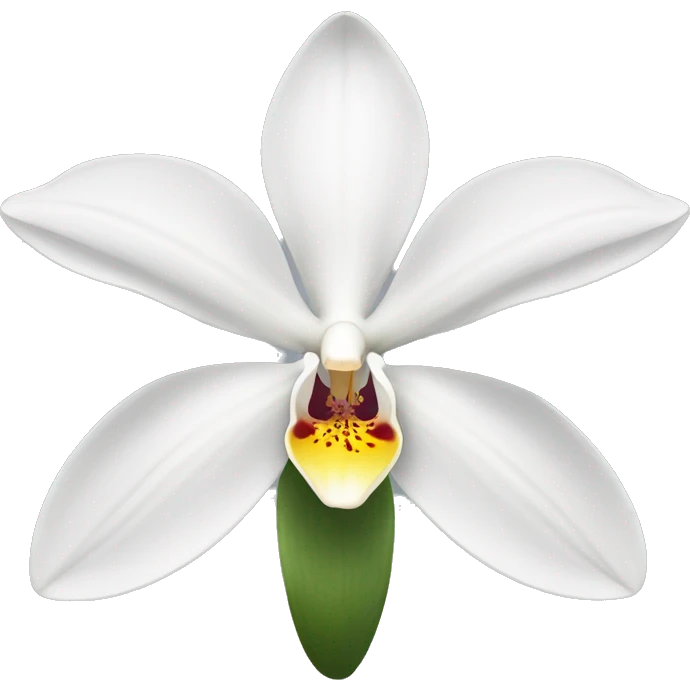 a white orchid  emoji