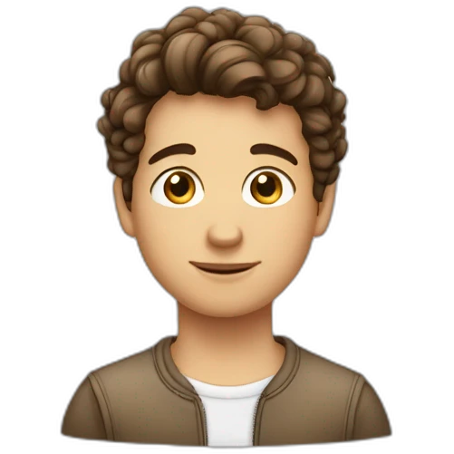 un garçon français, peau blanche cheveux brun non bouclé yeux bruns emoji