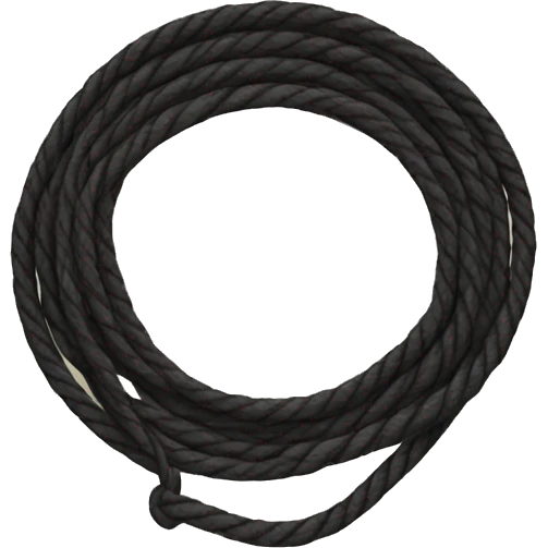 lasso emoji