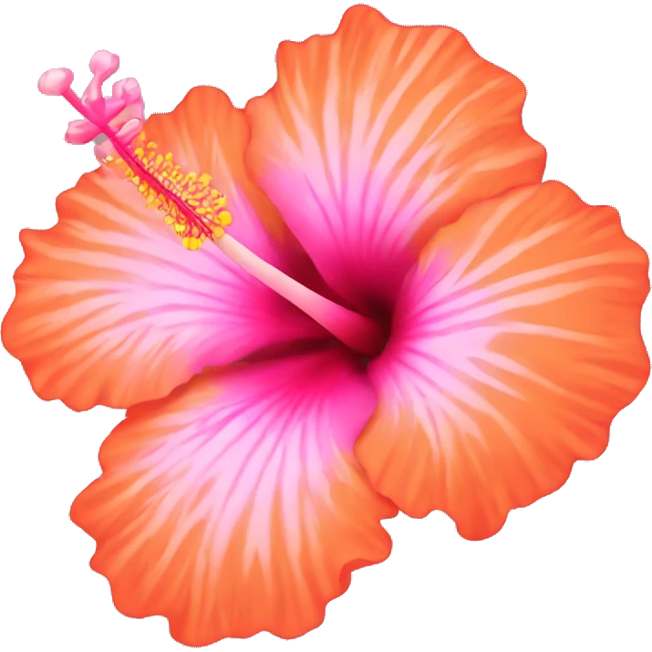 Pink and orange hibiscus flower emoji