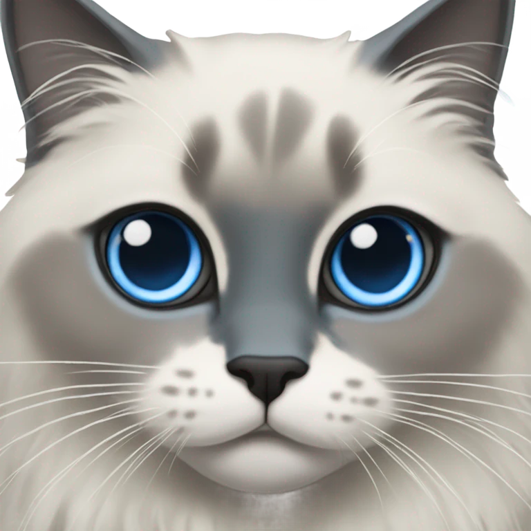Blue point ragdoll cat with short length hair, with blue eyes, dark face  emoji