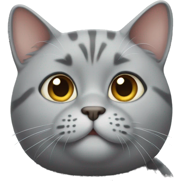 Chonky grey cat emoji