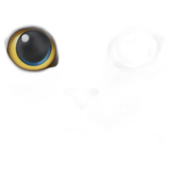 cat with one eye emoji