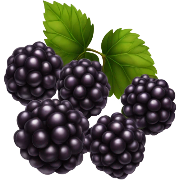 Blackberries emoji