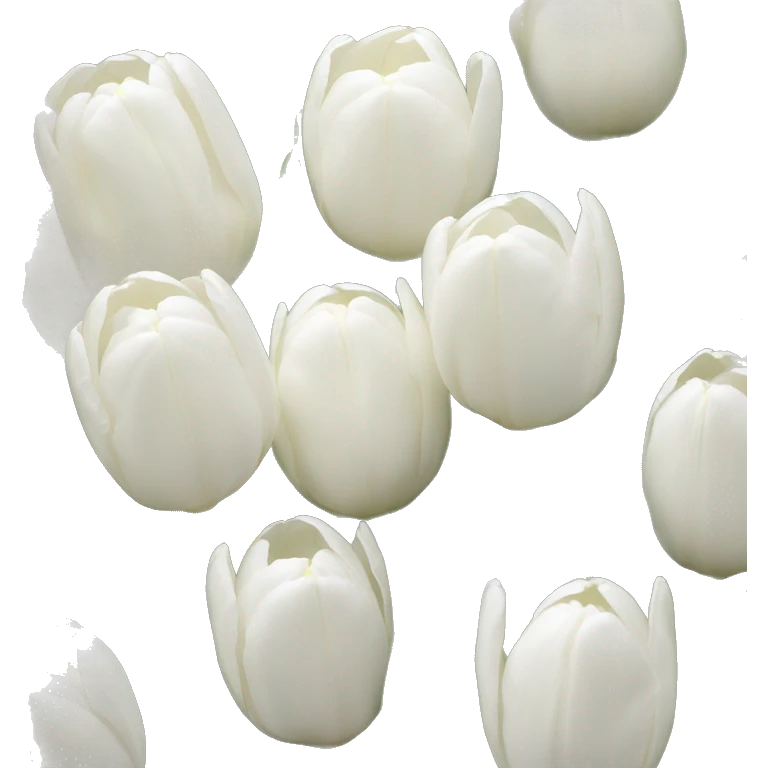 White tulips emoji