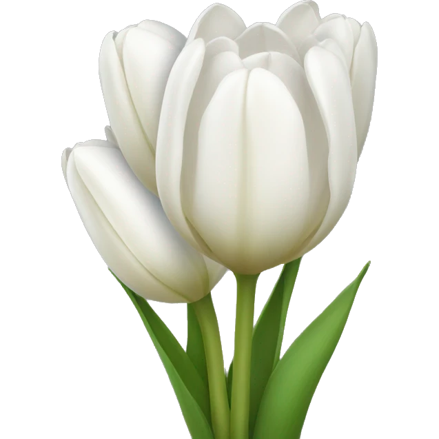 White tulip bouquet emoji