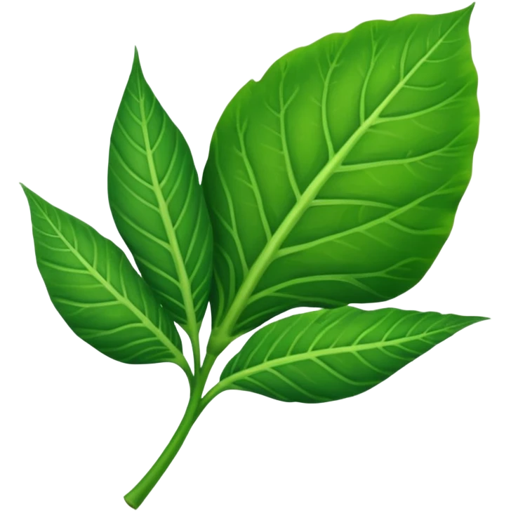 taro leaf lime emoji