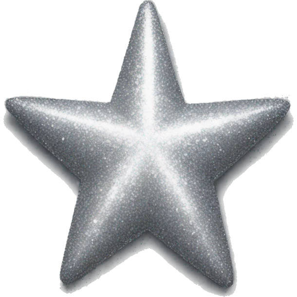 Silver glitter star emoji