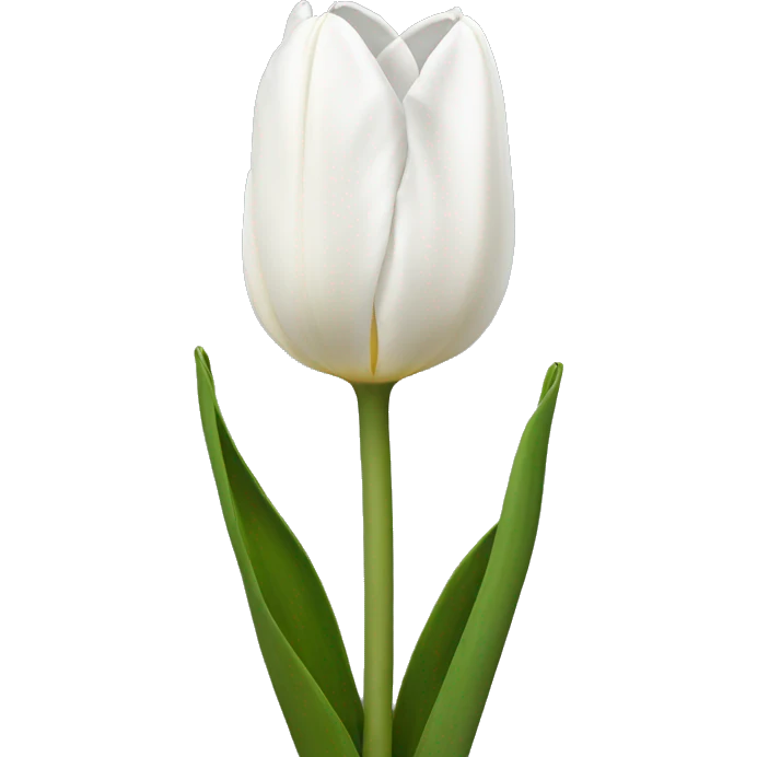 White tulipa emoji