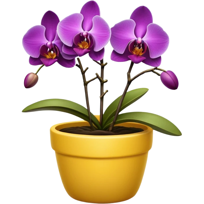 Purple Orchid in a yellow pot emoji