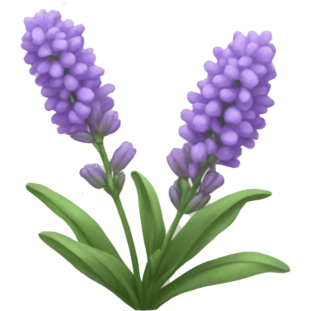 Lavender  emoji