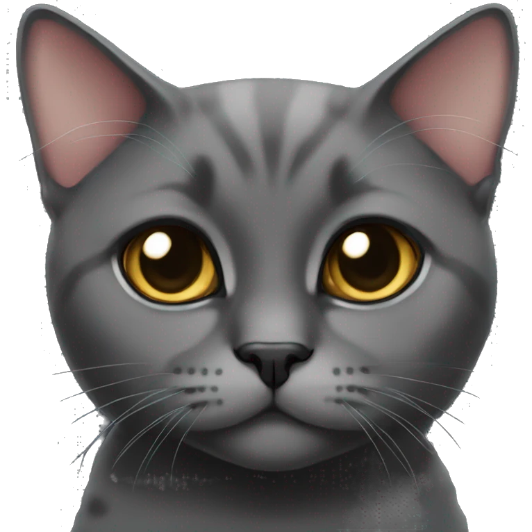 black tabi cat british fold emoji