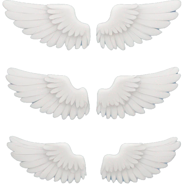 Wings both side emoji